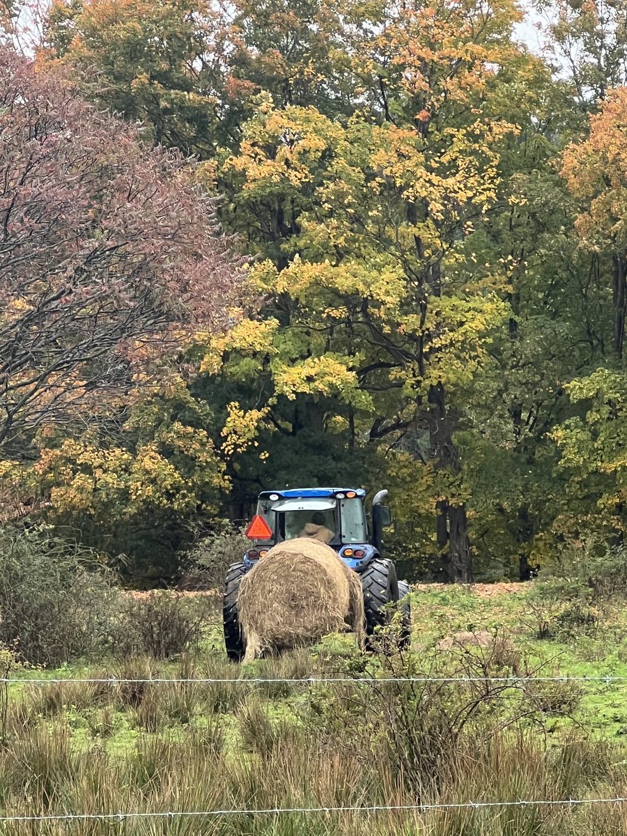 NYFarmer tweet media