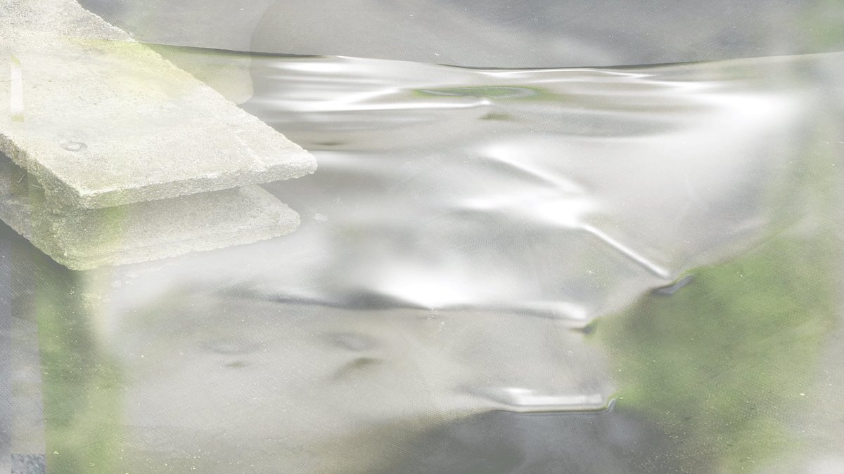 wataruaiso tweet media