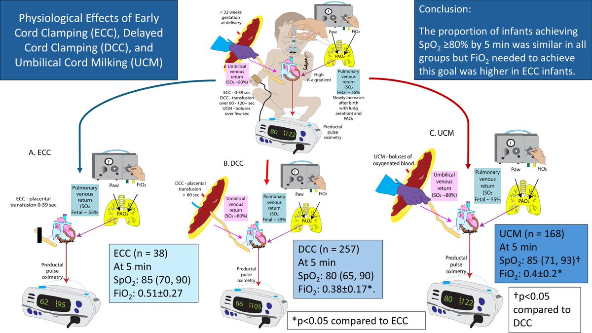 Satyan (@neosatyan) on Twitter photo Graphic abstract of this paper <a href="/JPerinatology/">Journal of Perinatology</a> nature.com/articles/s4137…
The umbilical venous blood has SO2 of 80-85% and DCC can reduce FiO2 needed during resuscitation to achieve target SpO2. <a href="/NeoAnup/">Anup Katheria</a> <a href="/AAPneonatal/">AAP Neonatal</a> <a href="/cordclamping/">cordclamping.org</a> Graphic abstract of this paper <a href="/JPerinatology/">Journal of Perinatology</a> nature.com/articles/s4137…
The umbilical venous blood has SO2 of 80-85% and DCC can reduce FiO2 needed during resuscitation to achieve target SpO2. <a href="/NeoAnup/">Anup Katheria</a> <a href="/AAPneonatal/">AAP Neonatal</a> <a href="/cordclamping/">cordclamping.org</a>