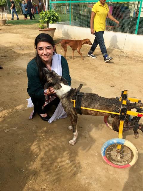 gypsy (@gypsiez) on Twitter photo I didn't want to put this picture but you are a woman too, do you know what it's like to drag a daughter on the road?
<a href="/AseefaBZ/">Aseefa B Zardari</a>
#SindhRawadariMarch I didn't want to put this picture but you are a woman too, do you know what it's like to drag a daughter on the road?
<a href="/AseefaBZ/">Aseefa B Zardari</a>
#SindhRawadariMarch