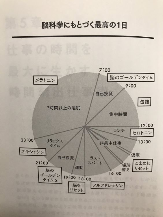 脳科学によると、これが最高の1日の過ごし方らしい