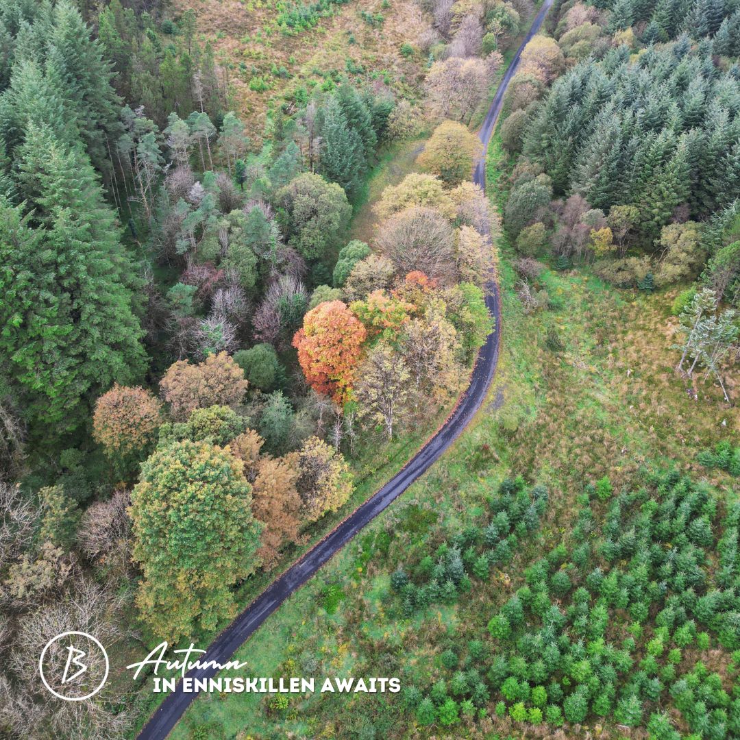 Explore the tranquil beauty of our forest walks this Autumn. Bare trees and winding trails make for the perfect nature escape 🍂🌲  #AutumnInFermanagh #ForestWalks #NatureEscape