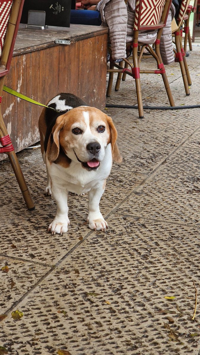 Aidan O'Donnell (@thetoiletduck) on Twitter photo 