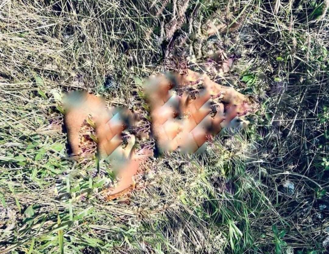 CuartaPlana's tweet photo. #Enterate | Lo están localizando por pedazos en los #VallesCentrales de #Oaxaca.

Ya encontraron el torso, los brazos, las piernas, ¿pero y la cabeza dónde quedó?. Esto sucede en el Valle de #Ocotlán. Primero, el #Lunes 7 de #Octubre, encuentran piernas y brazos a orillas del libramiento a Ocotlán, en juridicción de Santo Tomás Jalietza, frente al parador Turístico. Cuatro días después, antier #Viernes 11 de octubre, reportaron el hallazgo del torso, que fue localizado cerca de la carretera federal 175, en jurisdicción de San Pedro Guegorexe. Las autoridades ahora están en busca de la cabeza, pero aún no han informado de su identificación. #Noticias #BuenosDias #BuenDomingo @FISCALIA_GobOax @SSPC_GobOax