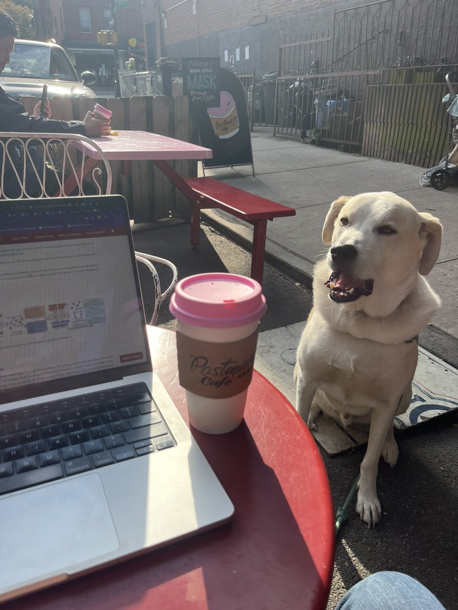 Dogs might be cute but they make terrible cofounders