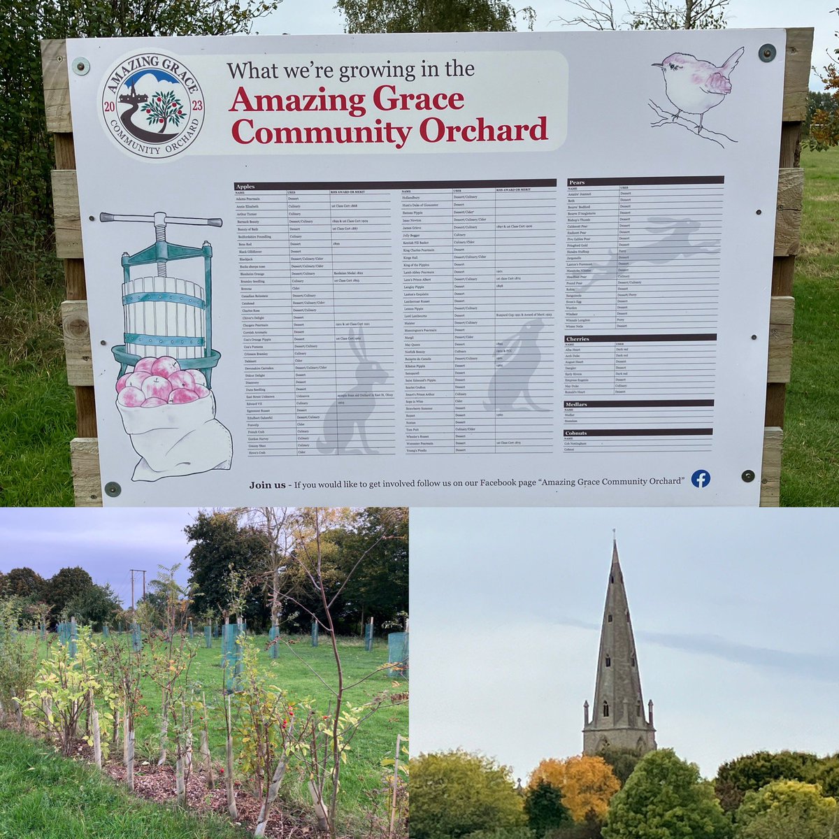 Just checking on progress <a href="/StVincentsL12/">St. Vincent's School</a> <a href="/DrJohnAPatters1/">Dr. John A Patterson</a> <a href="/CowpNewtMuseum/">The Cowper & Newton Museum</a> Olney Amazing Grace