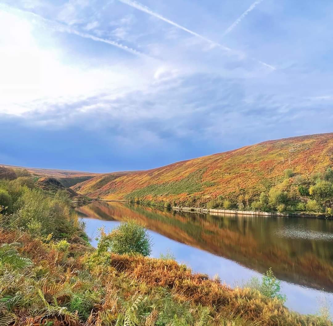 Mrs Hutton tweet media