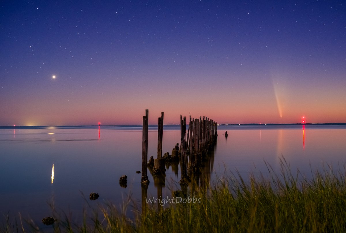 Wright Dobbs tweet media