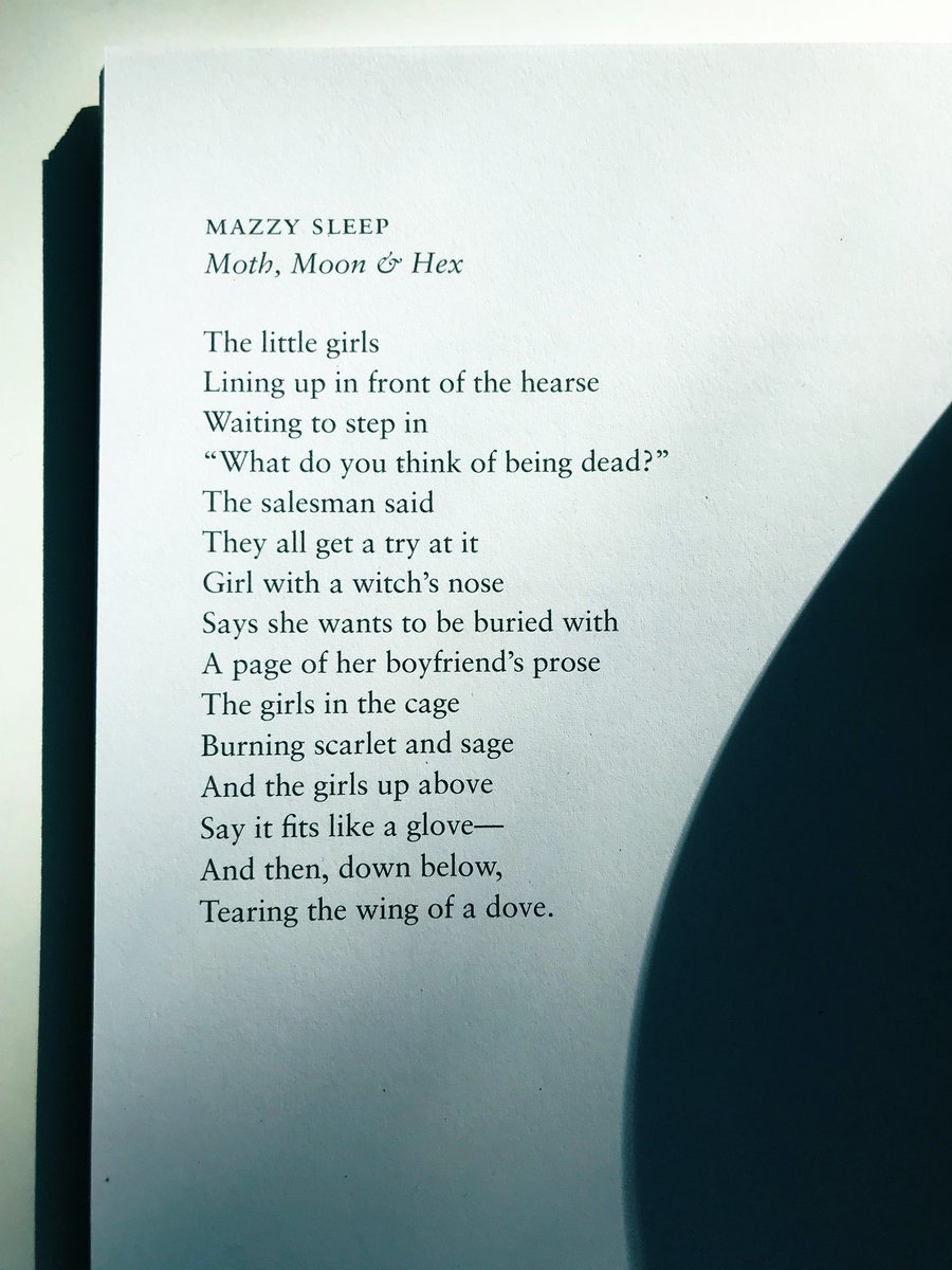 Mazzy Sleep tweet media