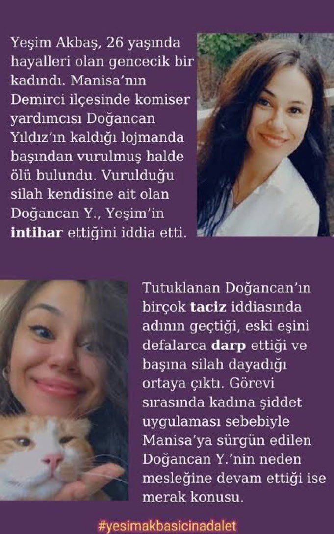 🧜🏻‍♀️ tweet media