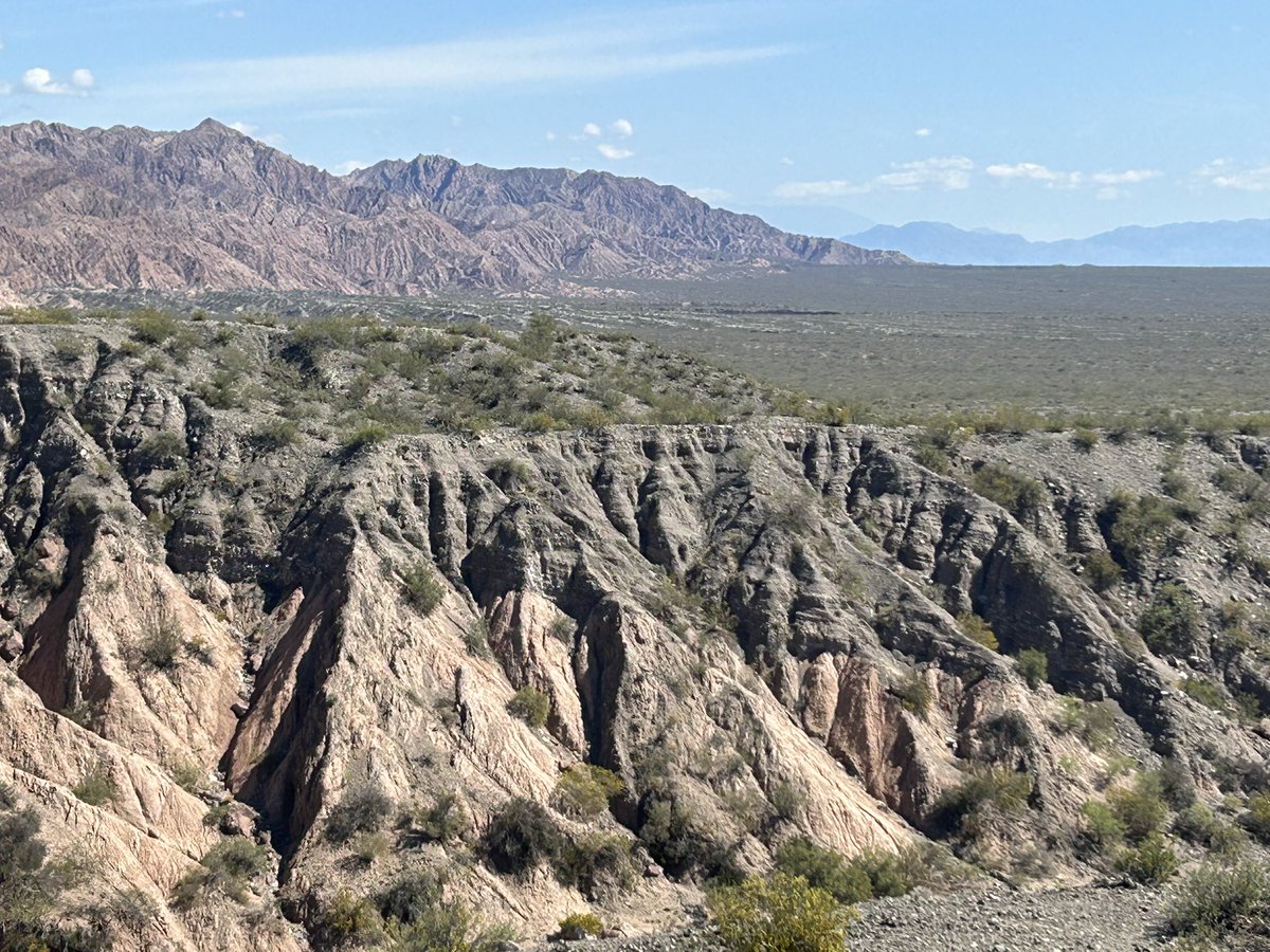 gabriel gonzalez tweet media