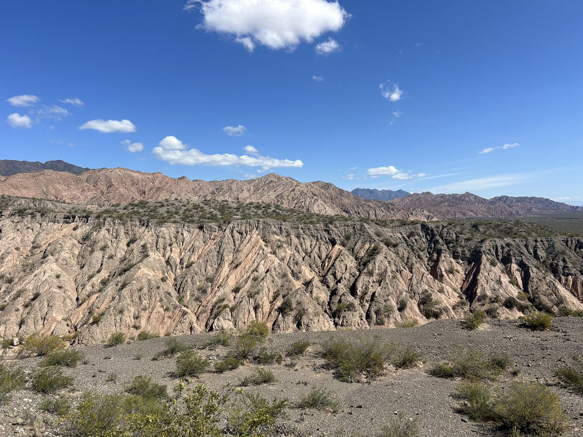 gabriel gonzalez tweet media