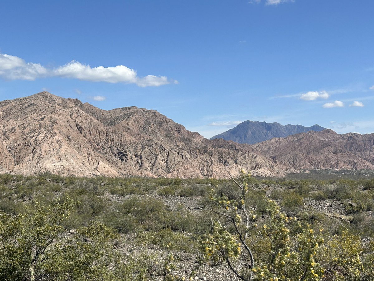 gabriel gonzalez tweet media