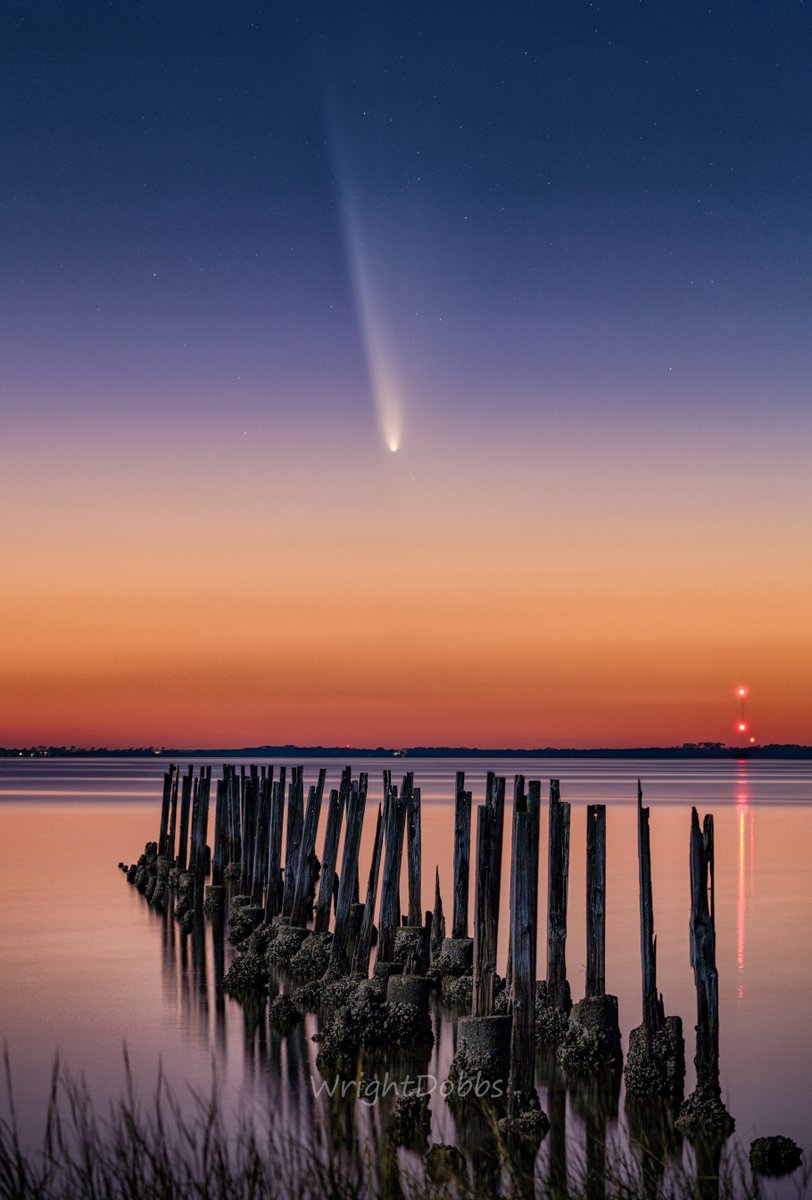 Wright Dobbs tweet media