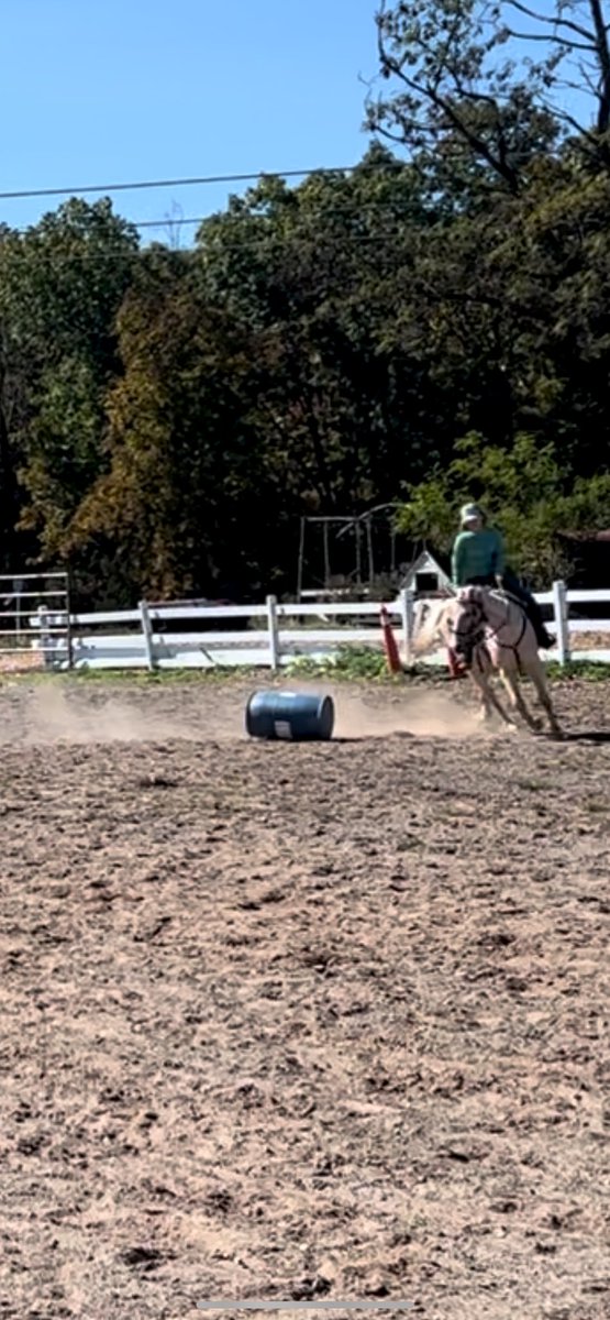 Yoko Bian, PhD tweet media