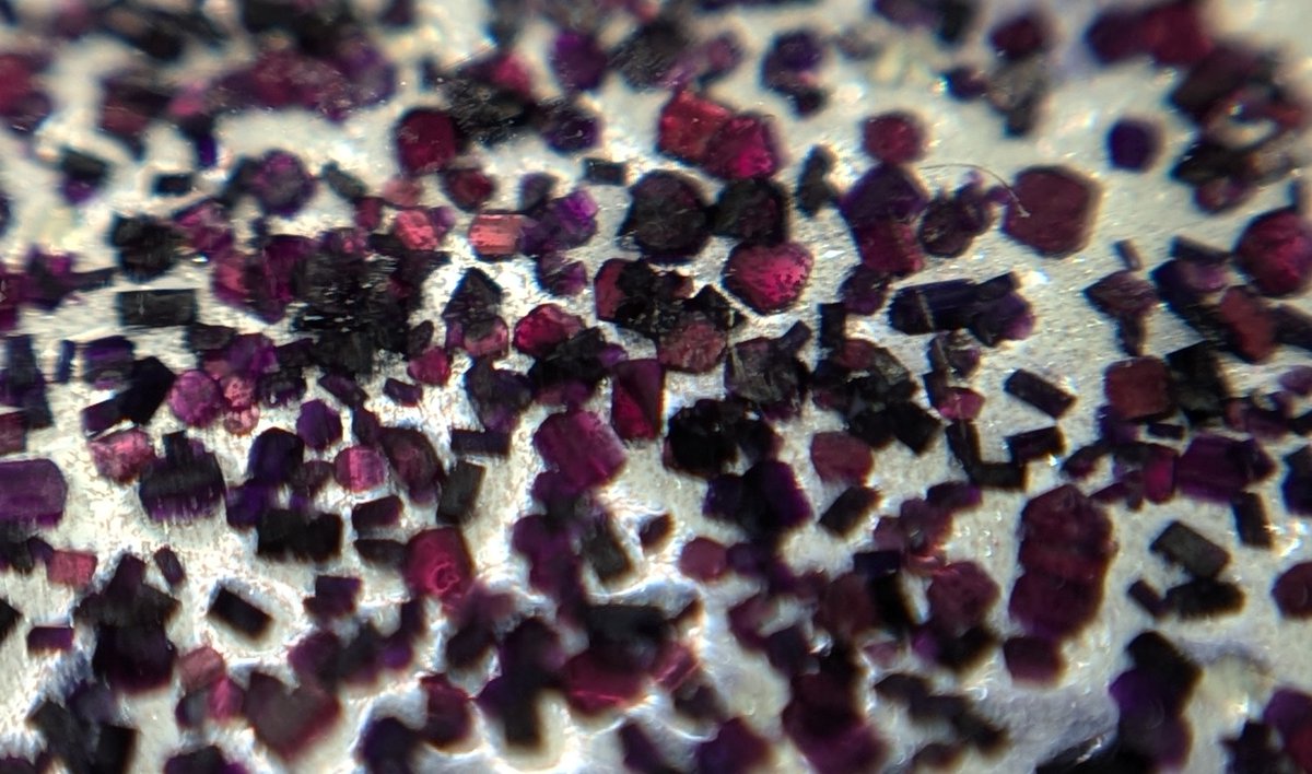 Some more absolutely stunning crystals of the nickel complexes I've been working with recently! 😍💎

Stay tuned as there's a lot more coming!