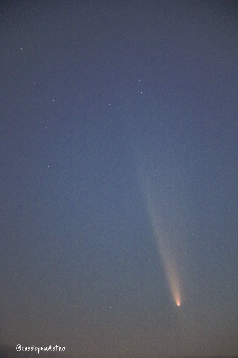 cassiopeiaAstro's tweet photo. みなさんこんばんは🌙*.°

本日の夕方、舞子公園にて紫金山・アトラス彗星を撮影してきました♫

中の人がこれだけ大きな彗星を観たのは人生で初めてで、本当に感動しました😂

チャンスがあれば明日も撮影と観察に挑戦したいと思います…！✨

#天文わず　#紫金山・アトラス彗星 https://t.co/riVgz0b27a