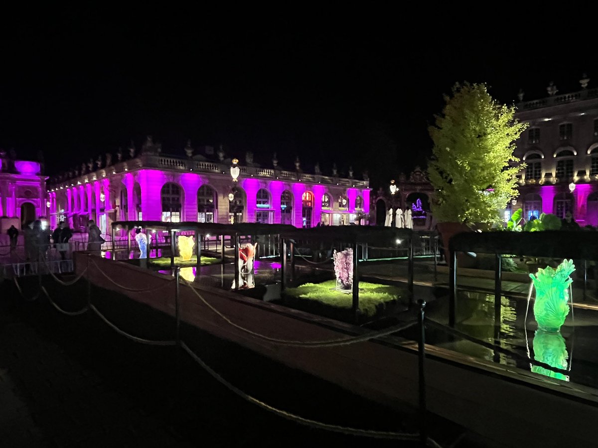 La place #Stanislas by night version jardin éphémère et octobre rose
 
#octobrerose #nancy