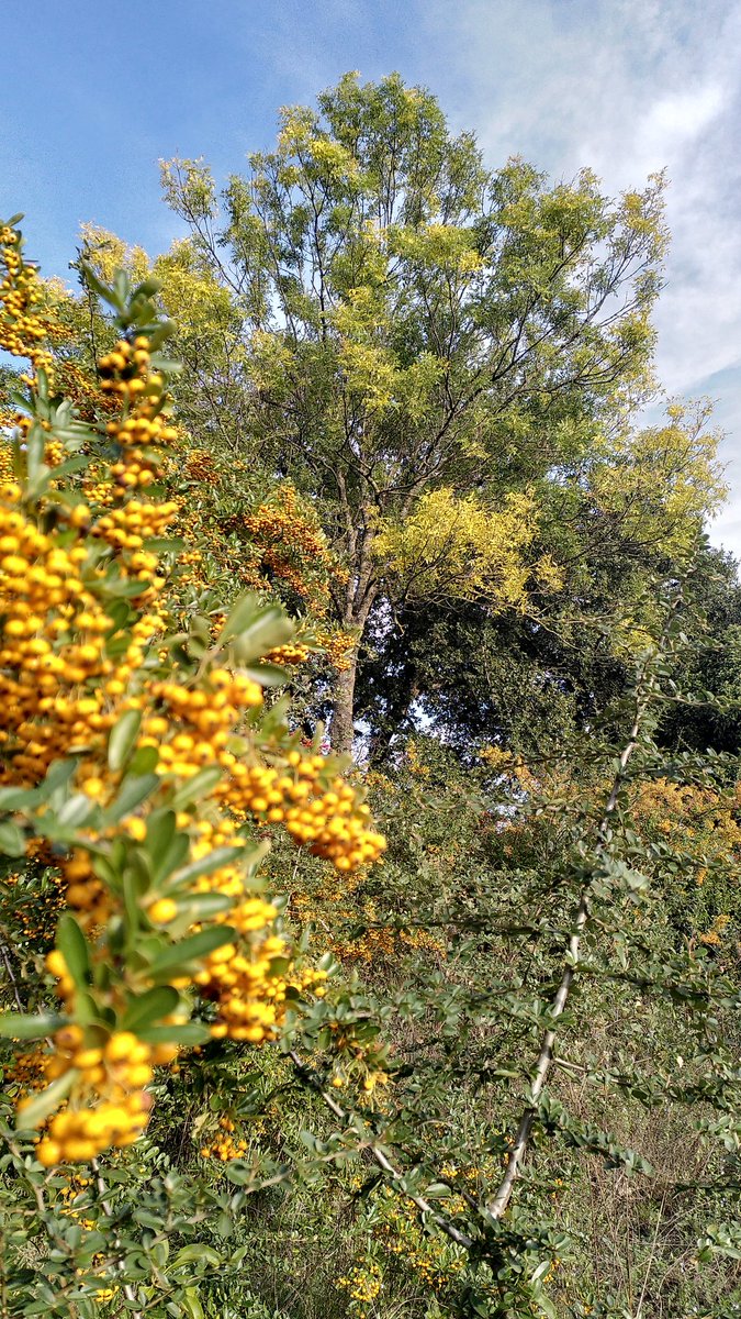 Benjamin Badouard tweet media