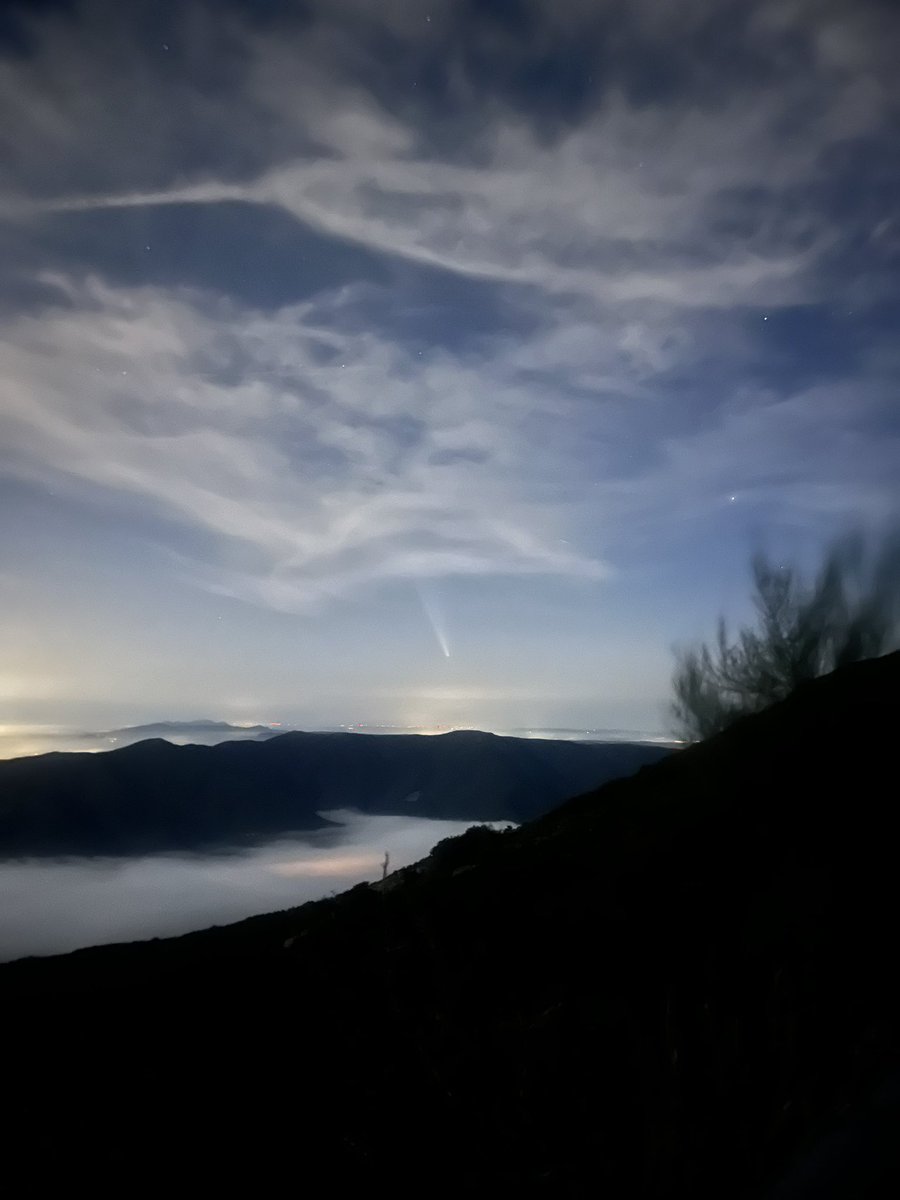 Judit TJ tweet media