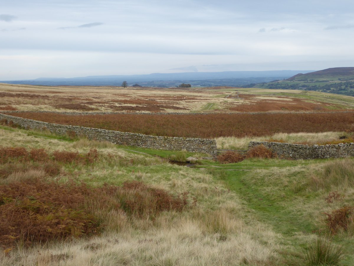 Making the most of the penultimate week of the <a href="/DalesBus/">DalesBus</a> summer season walking from Coverdale to Wensleydale today using <a href="/keighleybus/">The Keighley Bus Company</a> 821 Keighley-Scar House and <a href="/Reliancebus/">Reliance Buses</a> 875 Hawes-York services.