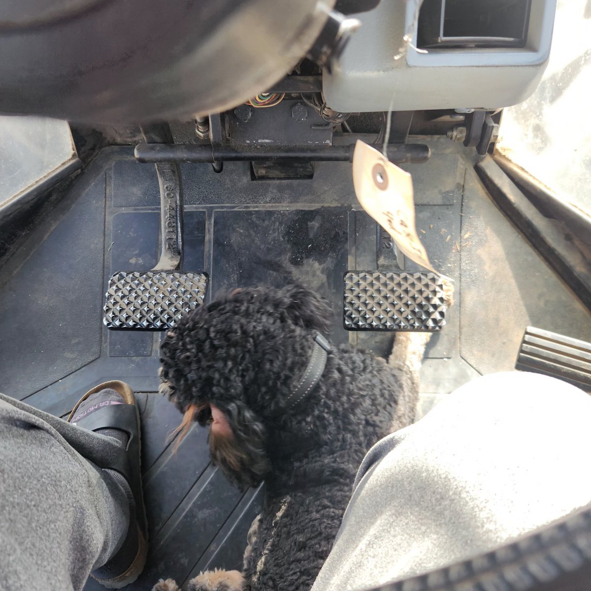 BootScootinGMaw tweet media