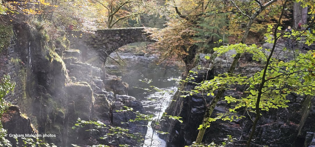 grahammalcolm tweet media