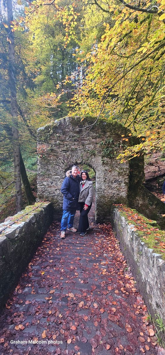 grahammalcolm tweet media