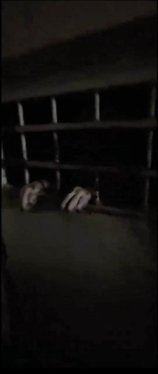 Sırf köpek oldukları için ışık görmeyen, pislik içinde, hücrede ölüme terkedilmişler. Barınak dedikleri ölüm kampında öldürülmeyi bekleyen canlar. 

Susmak katliama ortak olmaktır!  <a href="/AYMBASKANLIGI/">Anayasa Mahkemesi</a> 

#GebzedeKatliamVar 
#ÜmraniyedeKatliamVar