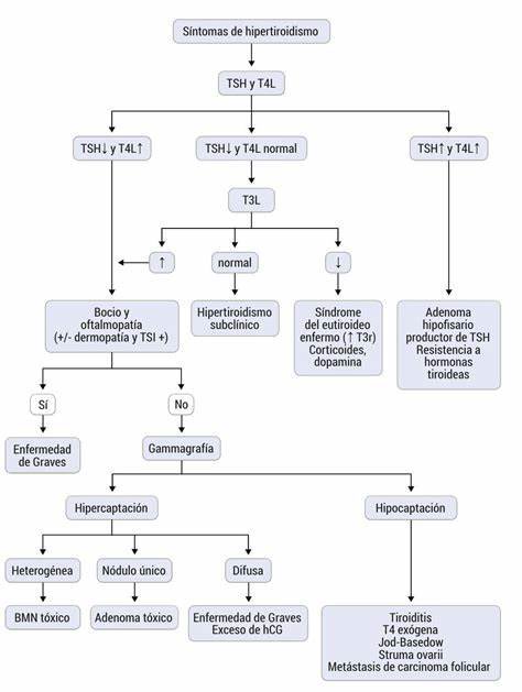 PROMIR_esp's tweet photo. 🩺✨ Aquí tienes un esquema imprescindible para dominar el hipertiroidismo y su diagnóstico diferencial, ¡directo de nuestro manual de #Endocrinología de #PROMIR! 💡📚
https://t.co/2jAo5dqebh https://t.co/mOgCYBQmkk