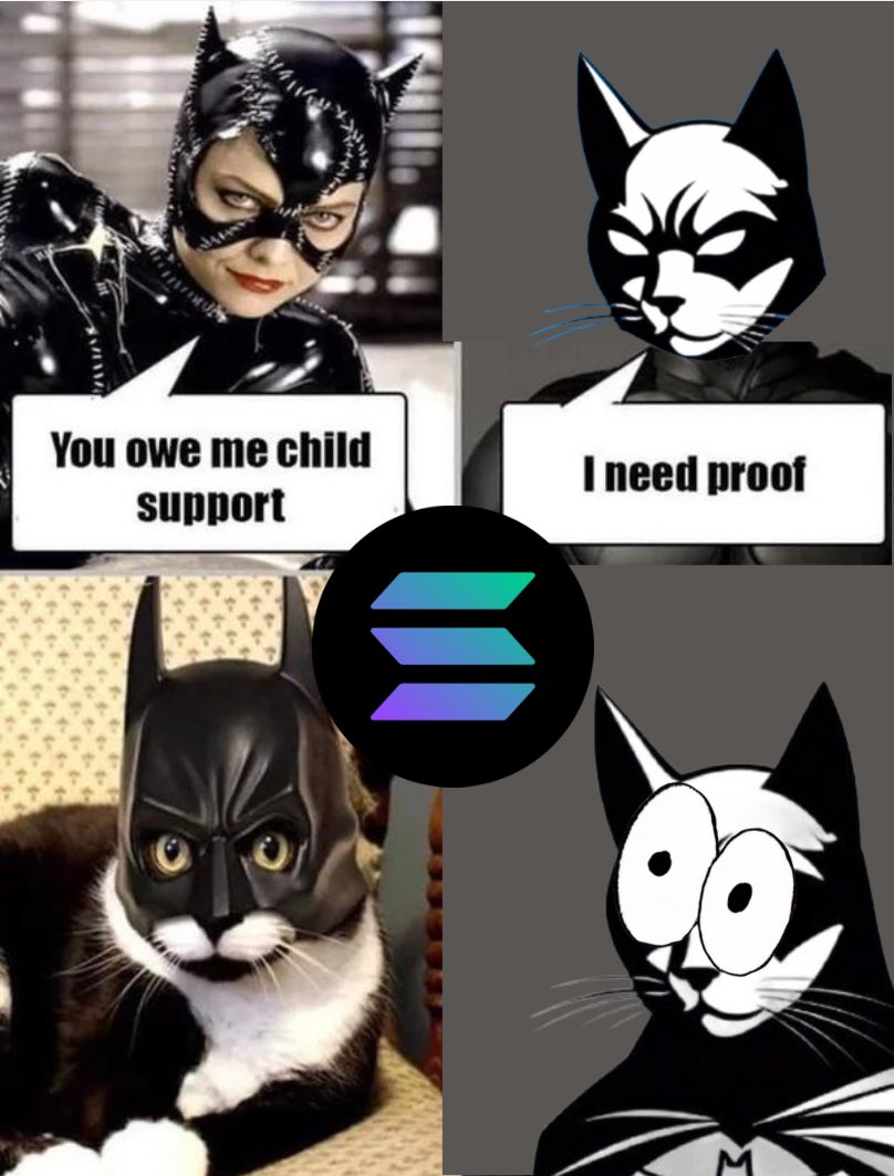 BatCat tweet media