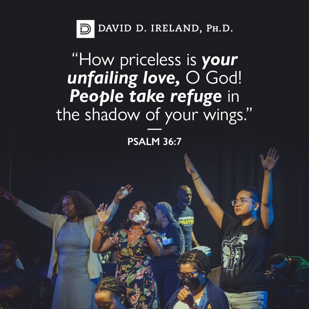 David Ireland tweet media