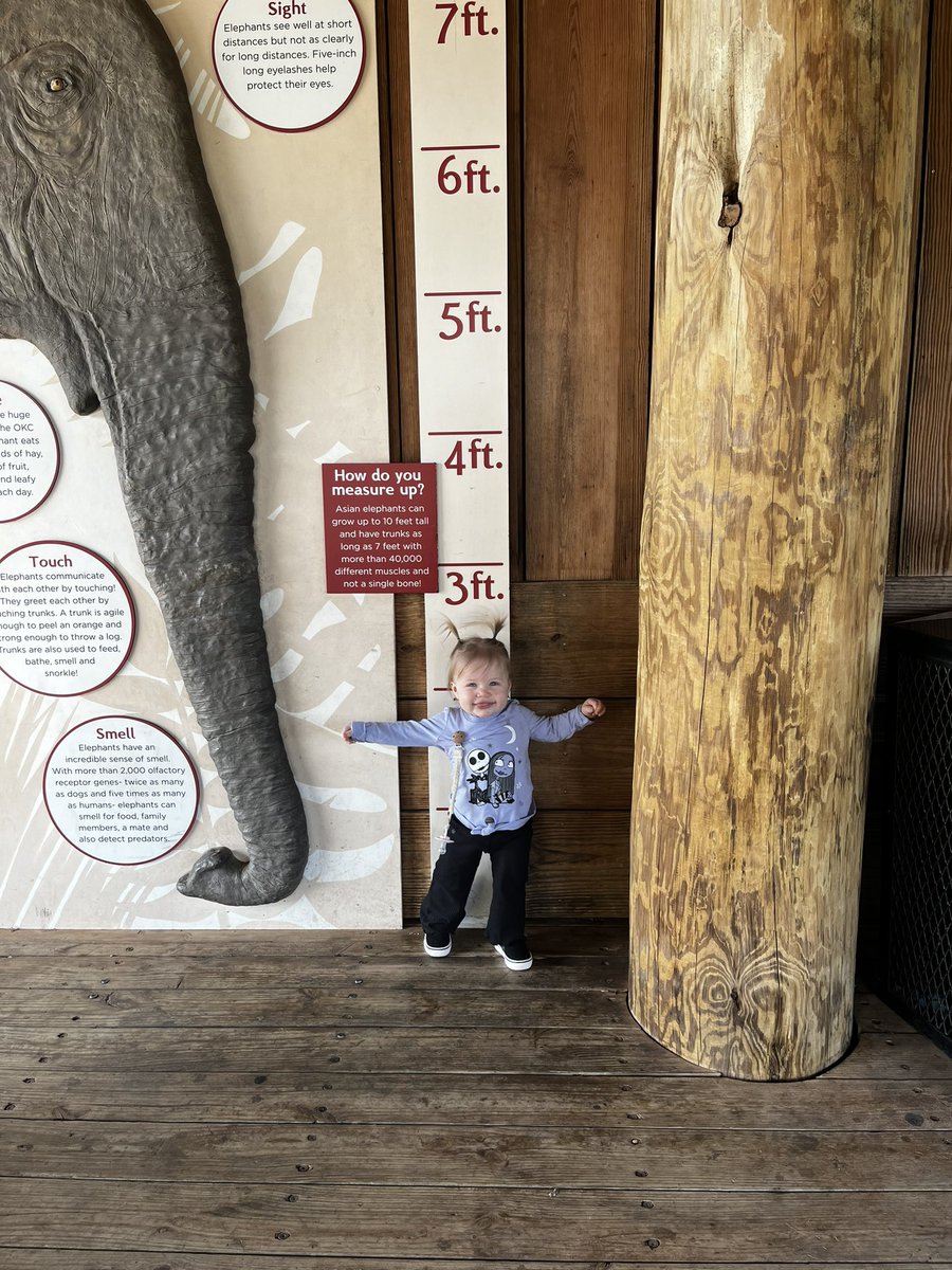 thtgrlMoe's tweet image. Happy 1st birthday mellie girl, we love your guts🩷