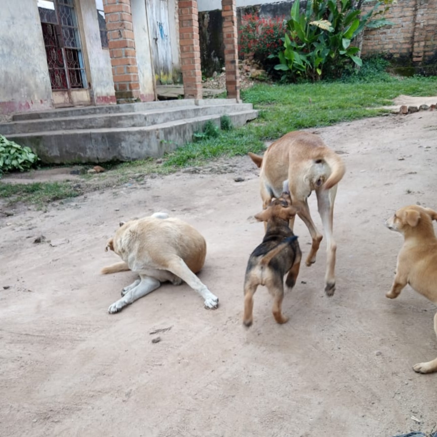 Please help we need food