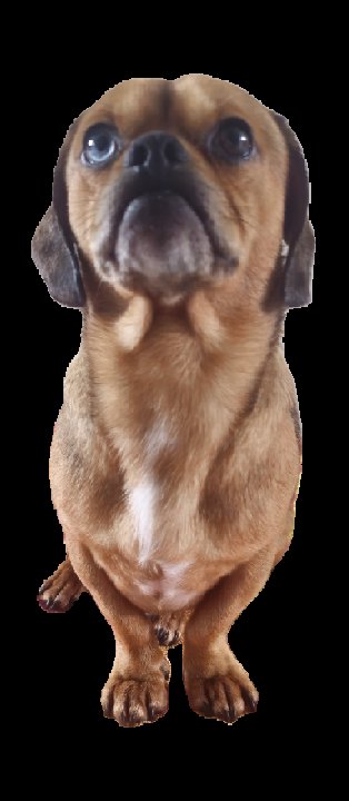 OneTakeTrey's tweet image. #Bruce has puppy dawg eyes for @binance 
#GoFetch