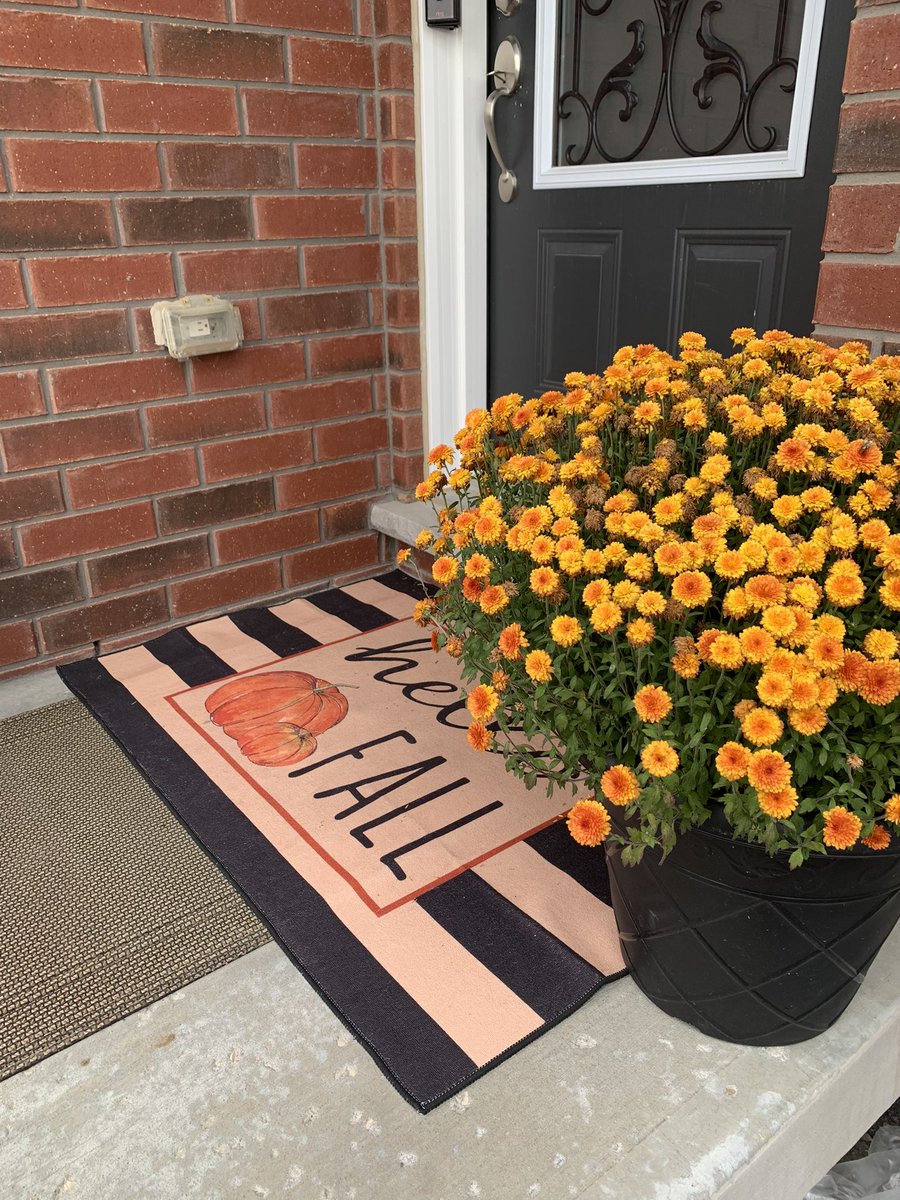 Happy Thanksgiving 🦃🍁🍂🧡🤎❤️