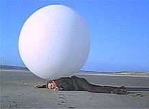 Only a matter of time until “The Prisoner” becomes a documentary/reality series.