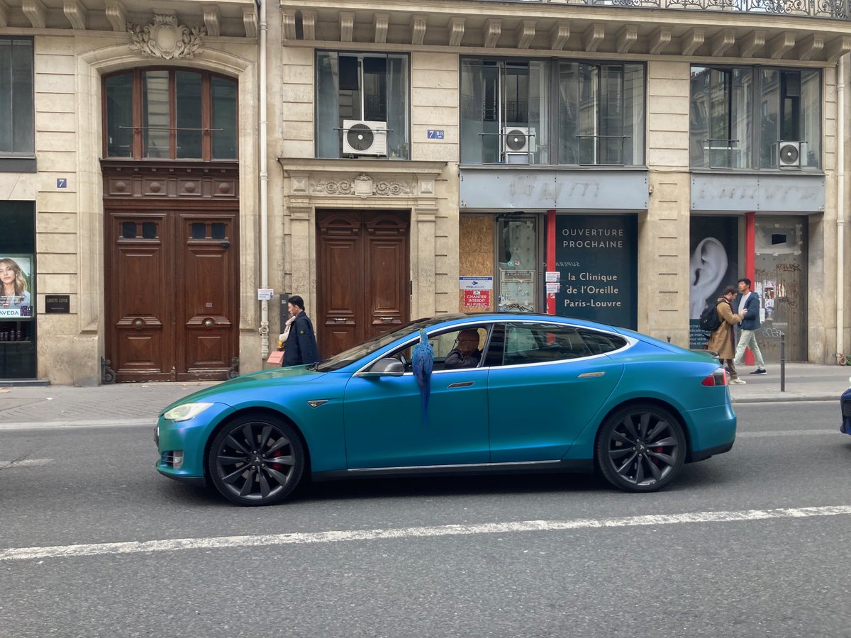 Wenn man zwei Stunden lang Arte-Povera-Kunst angeschaut hat, geht man ja ohnehin schon mit gesteigerter Erwartung in die Wirklichkeit zurück. Aber dann überholt man im Pariser Abendverkehr den hier: