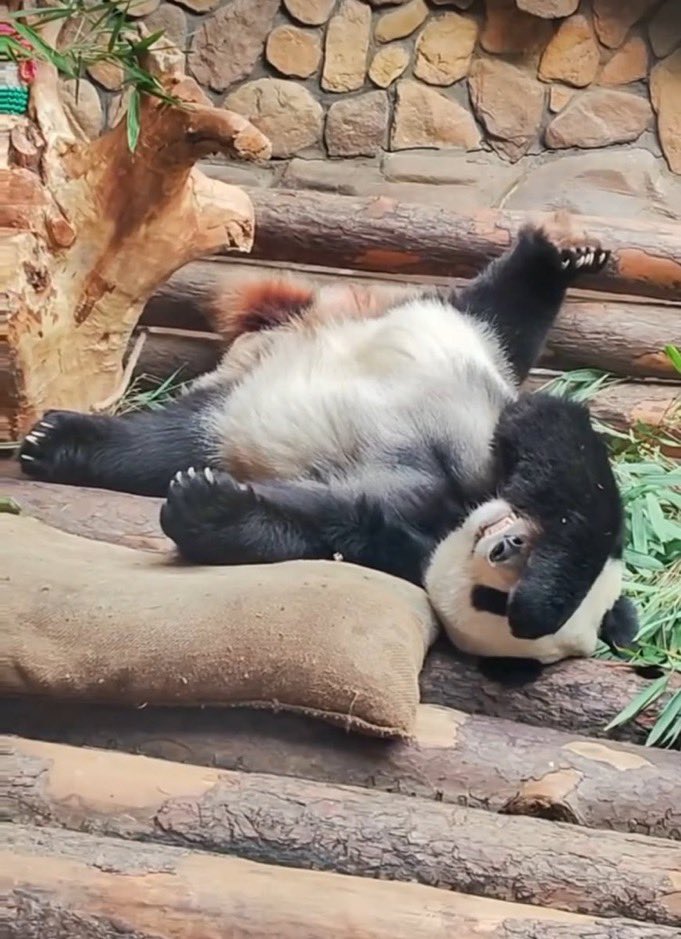 I’m with you Panda. I’m with you.