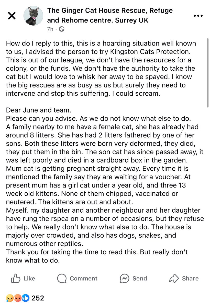 Kingston Resident tweet media