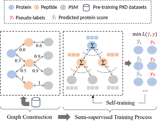 PastelBio's tweet photo. GraphPI: Efficient Protein Inference with Graph Neural Networks https://t.co/oJaeTyw5c1

---
#proteomics #prot-paper https://t.co/BSbLdgDRzx
