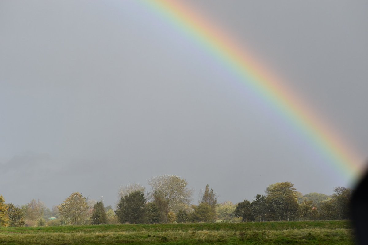 Wir wollten nach Nordstrand auf den Deich und fuhren doch nur durch den Regen, aber auch Regen hat schöne Seiten.