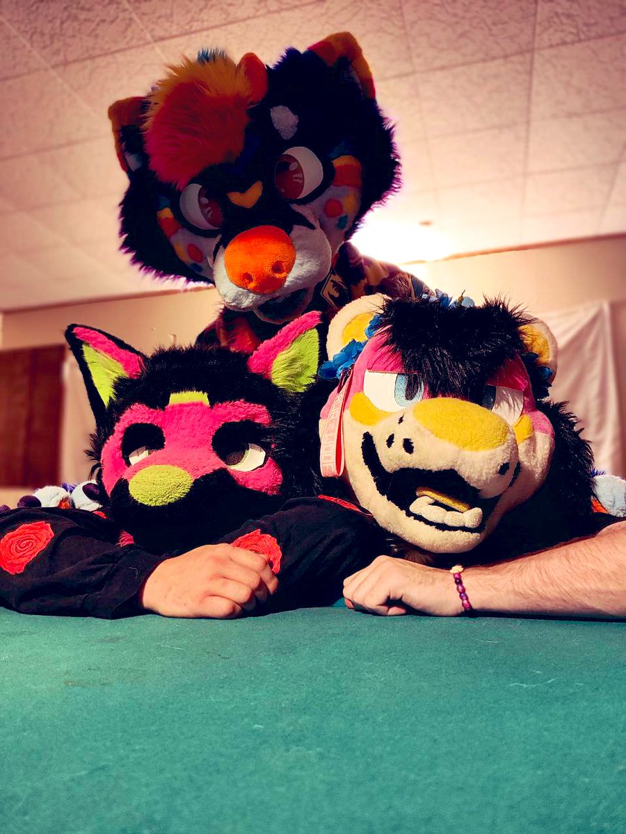 Reisbarks1's tweet photo. The boooooys !!!🎃🤭#fursuit #furry #furryfandom @Dantethederg @Marfwheezel 📸@furryamilite https://t.co/87gXZVCQdK
