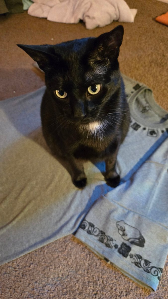 Oh yeah shirts!! I'll post these on the site soon ❤️