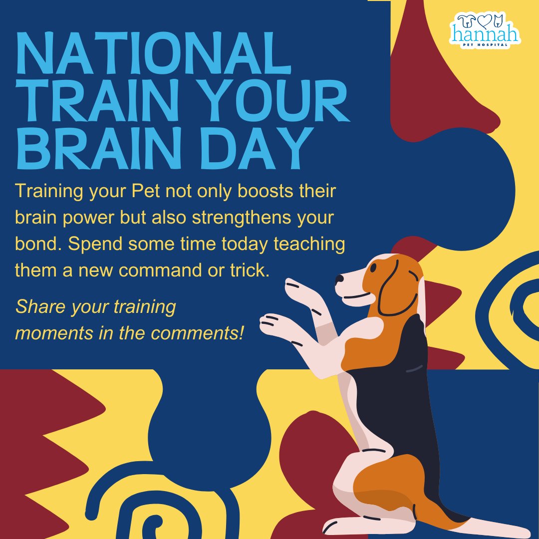 HannahSociety's tweet photo. 🧠🐾 National Train Your Brain Day! 🐾🧠

Training your Pet not only boosts their brain power but also strengthens the bond you share. Take some time today to teach them a new command or trick. Share your training moments with us in the comments! #TrainYourBrainDay #PetTraining https://t.co/pCvvnLTZmg