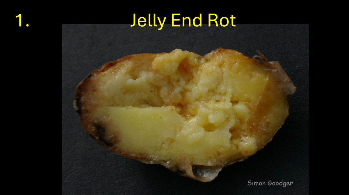 Simon Goodger tweet media