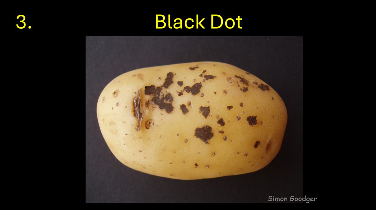 Simon Goodger tweet media