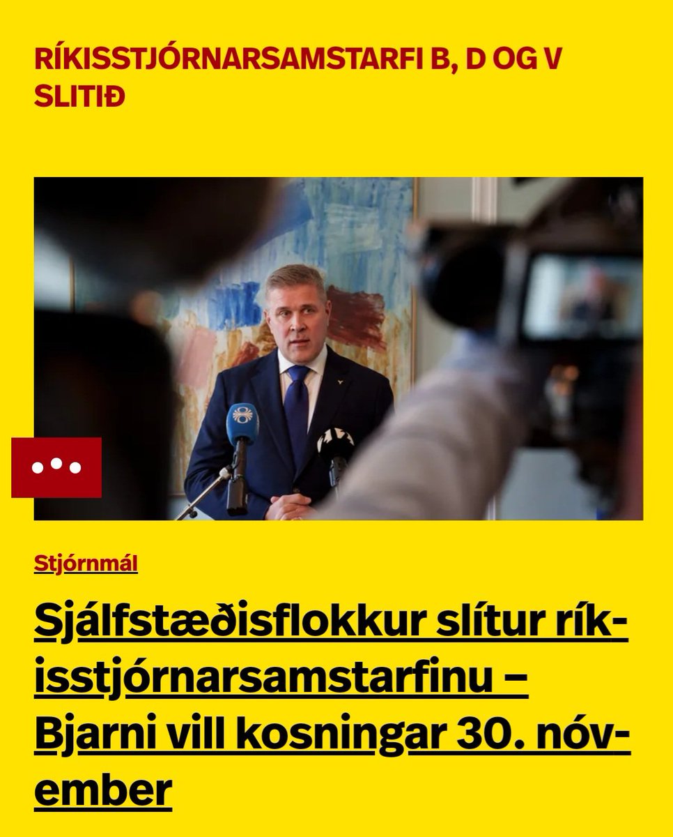 Tími kattanna er nú!!!!!!