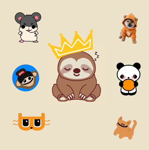 SLEEPY•SLOTH•STEVE tweet media