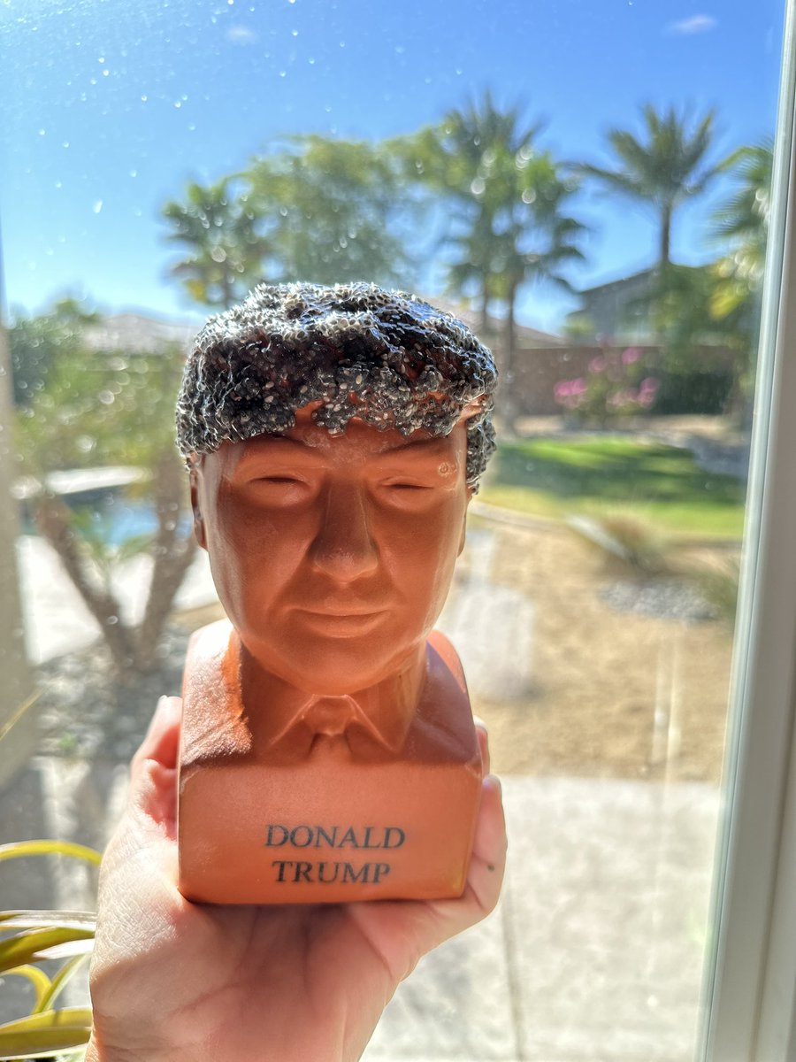I hope my Trump Chia Pet grows as fast as our economy does after <a href="/realDonaldTrump/">Donald J. Trump</a> is elected.  

#MAGA #Trump2024